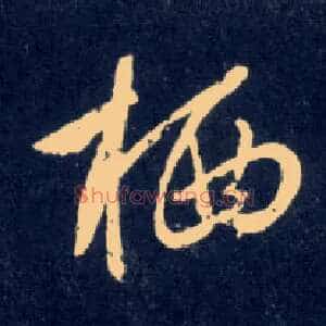 栖