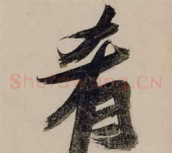 肴