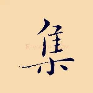 集
