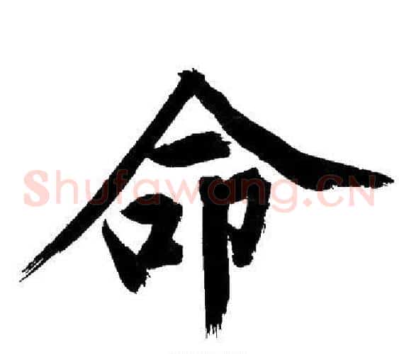 命