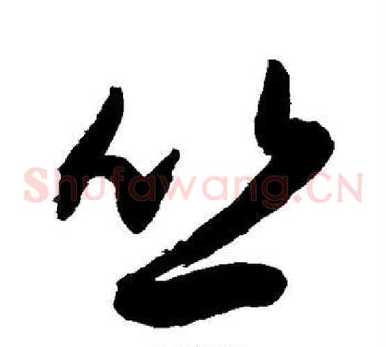 丛