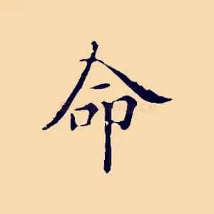 命