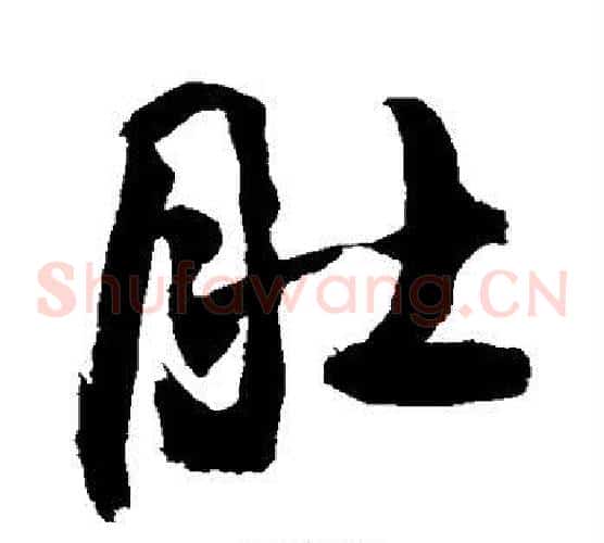 肚