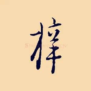 梓