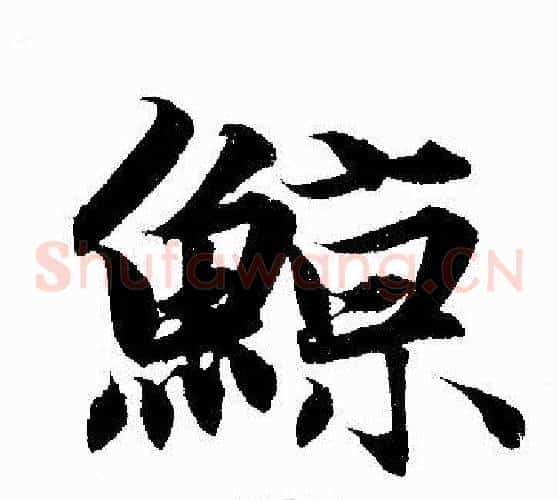 鲸