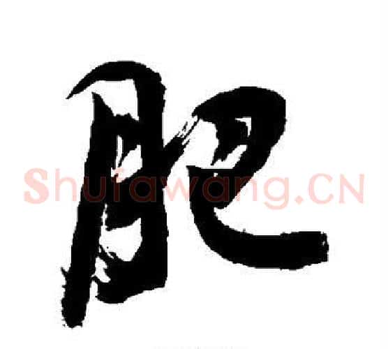 肥