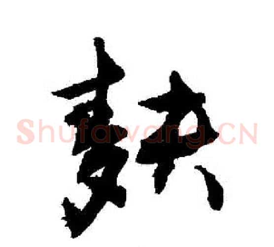 麩