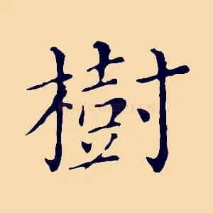 樹