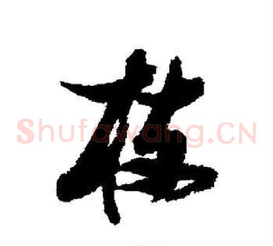 枝