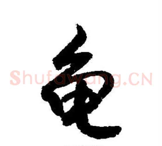 龟