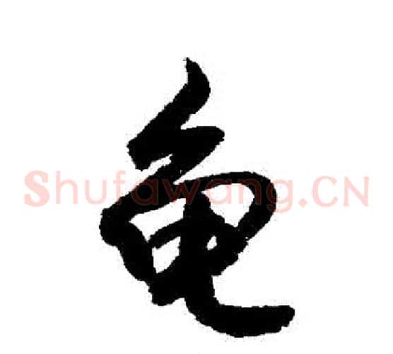龜