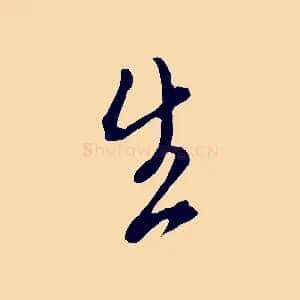 生