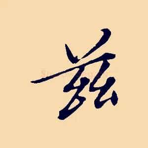 茲