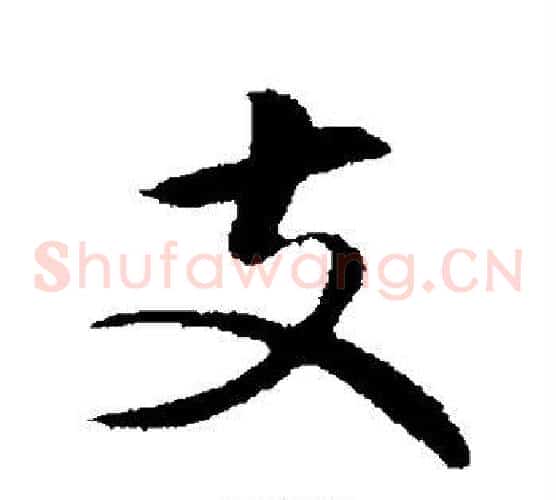 支