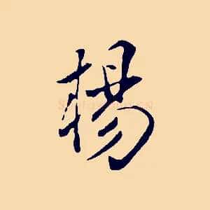 楊