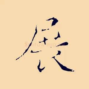 展
