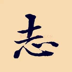 志