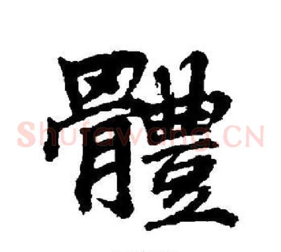 体
