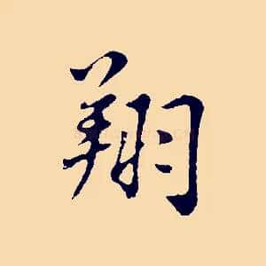 翔