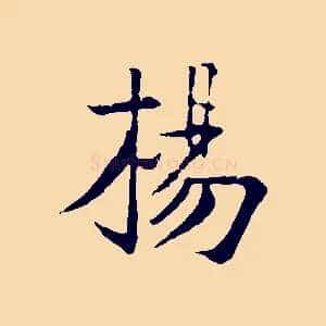 楊