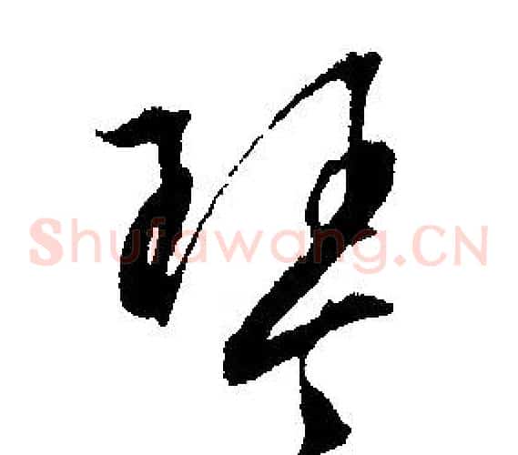 琴