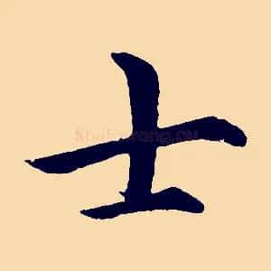 士