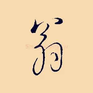 翁