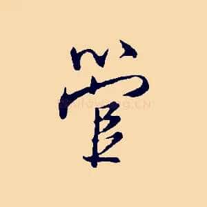 管