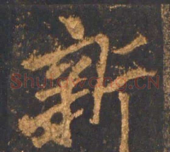 新