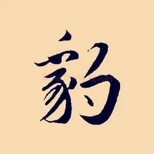 豹