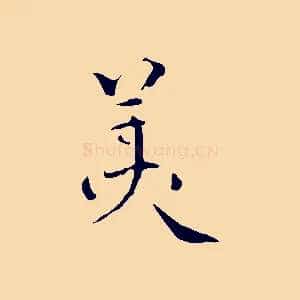 美