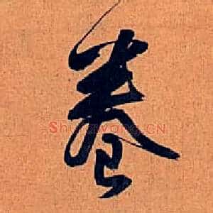 卷