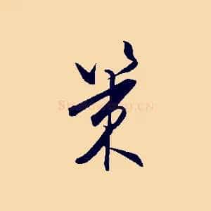 策