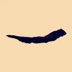 一