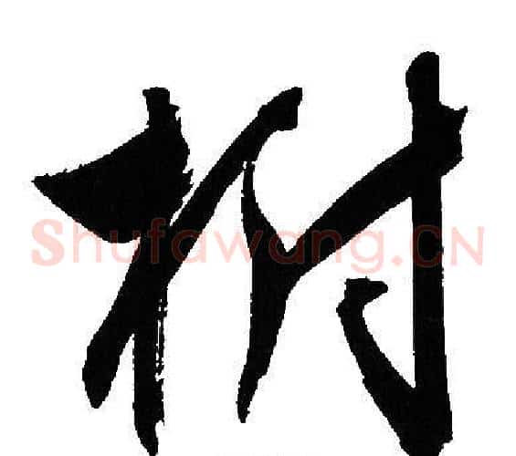 樹