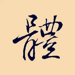 體