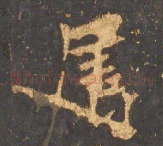属