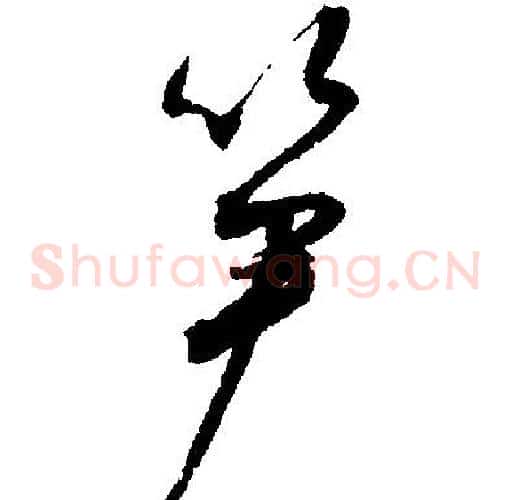 笋