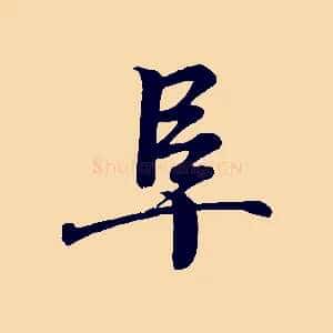 阜