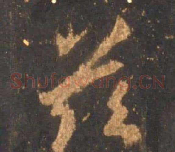 兹