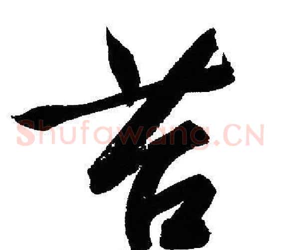 苔