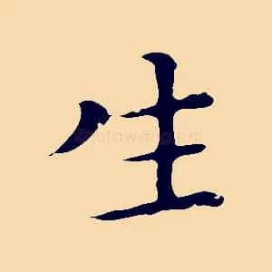 生
