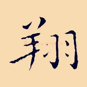 翔