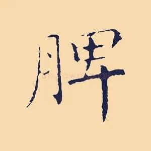 脾