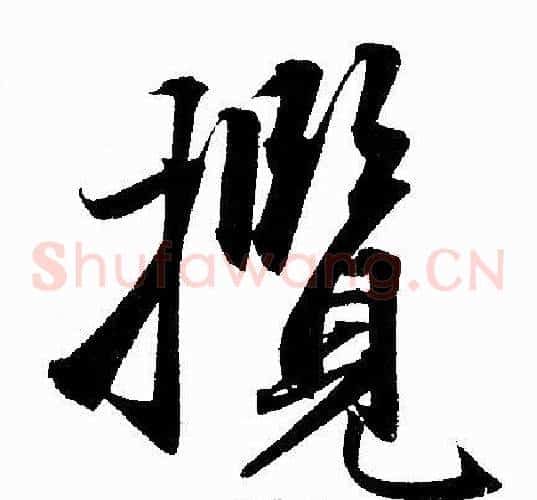 攬