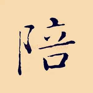 陪