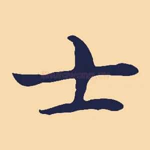 士