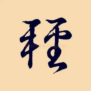 輕