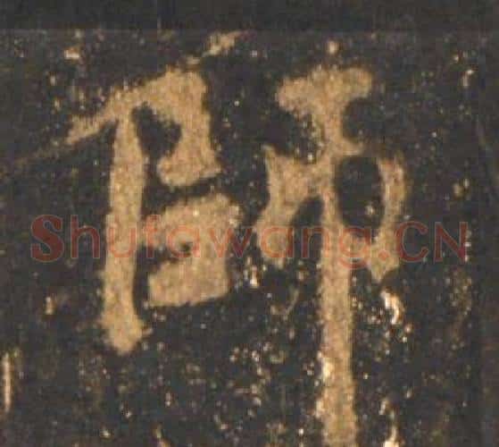 師