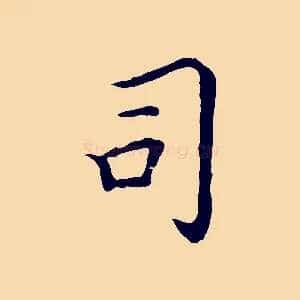 司